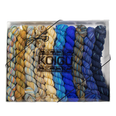 Koigu Pencil Box Yarn - Venation Shawl - Shadow Spice - Zoom Image