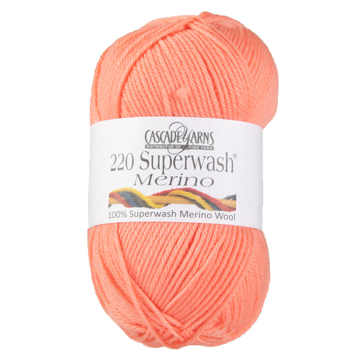 Cascade Yarns 220 Superwash Merino Yarn - 101 Desert Flower - Zoom Image