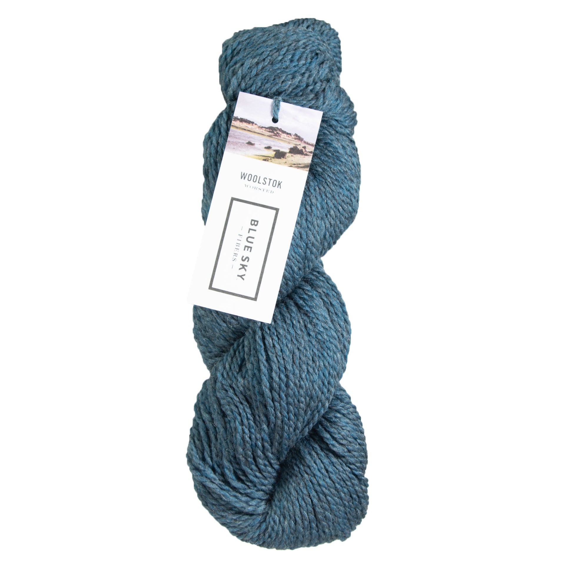 Blue Sky Fibers Woolstok Yarn - 1321 Loon Lake - Zoom Image
