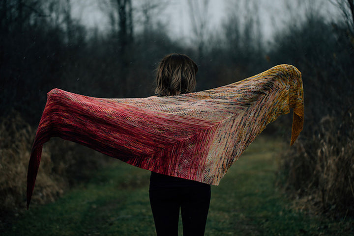 Hedgehog Fibres Find Your Fade Shawl Kit - Extra Image