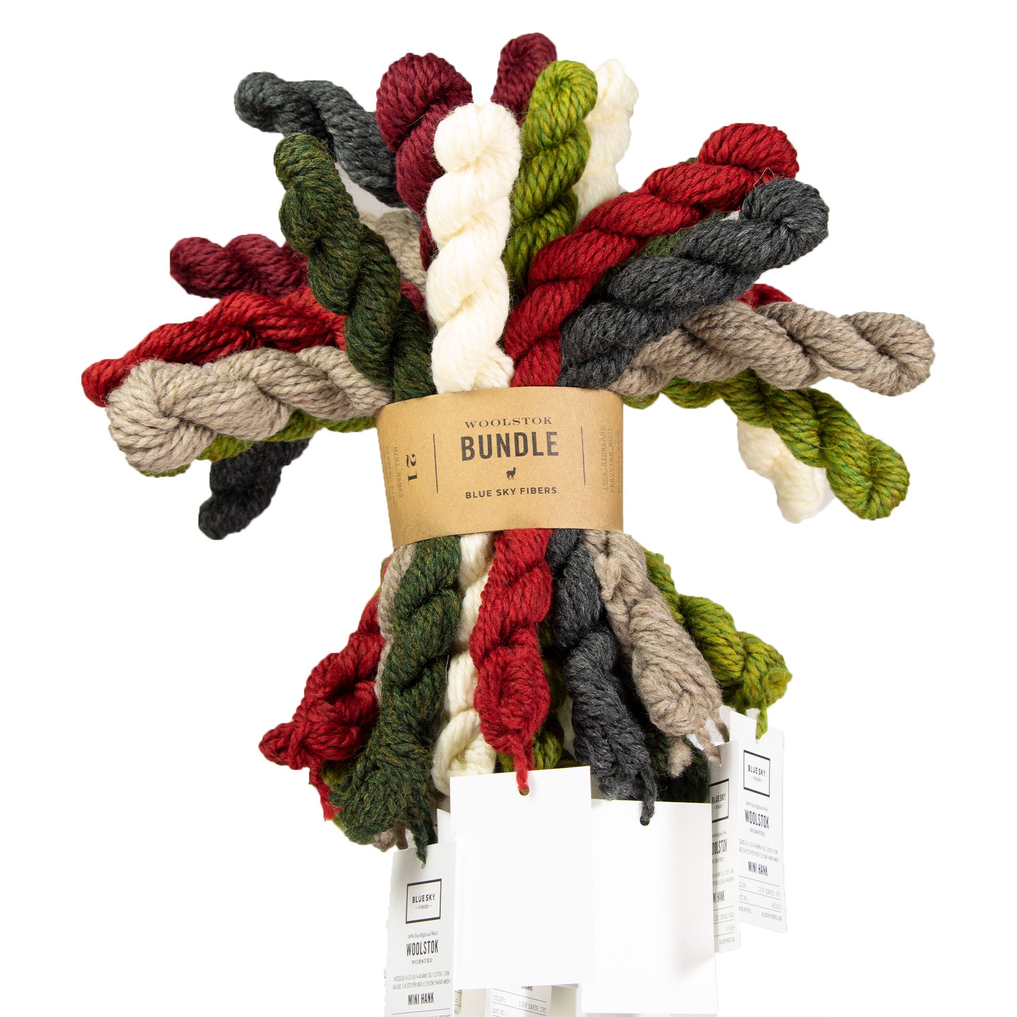 Blue Sky Fibers Woolstok Bundles Yarn - Holiday Cheer - Zoom Image