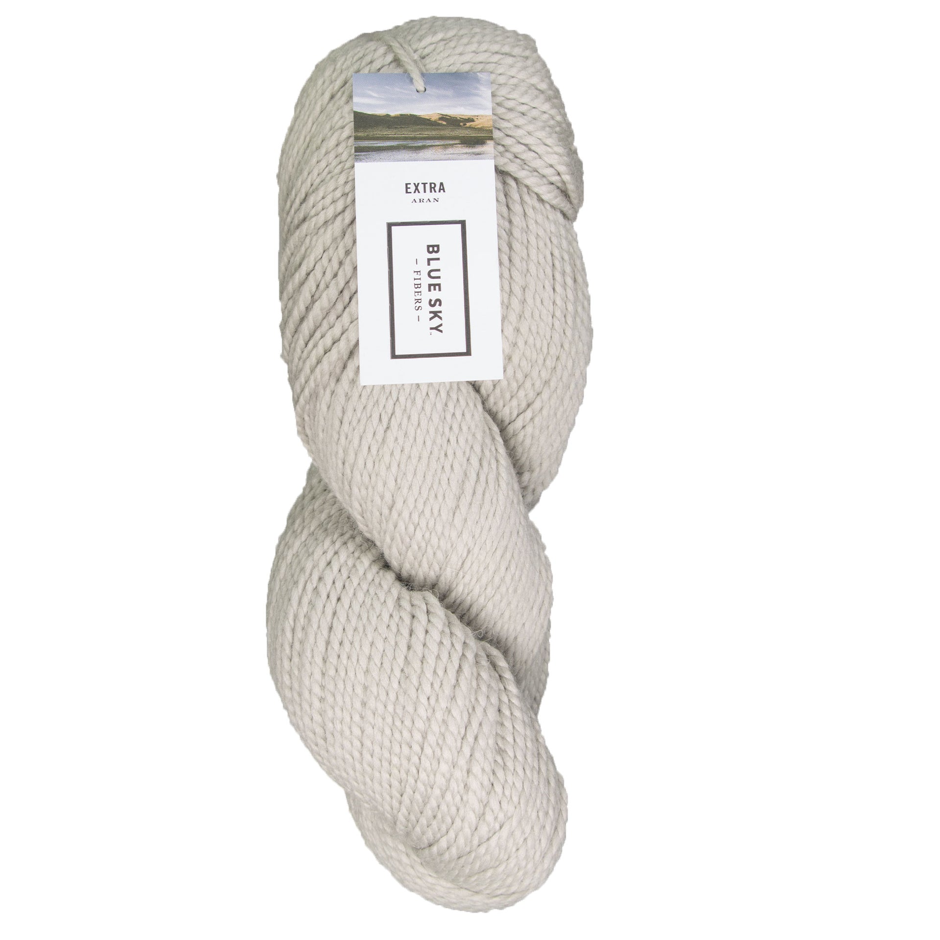 Blue Sky Fibers Extra Yarn - 3528 Overcast - Zoom Image
