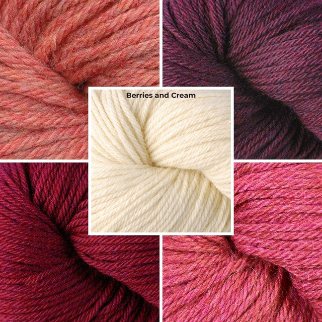Berroco Year Long Blanket MKAL Kit - Berries & Cream
