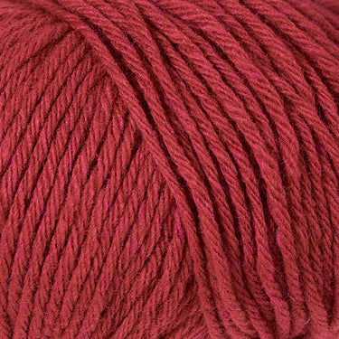 Berroco Renew Yarn - 1367 Macaw