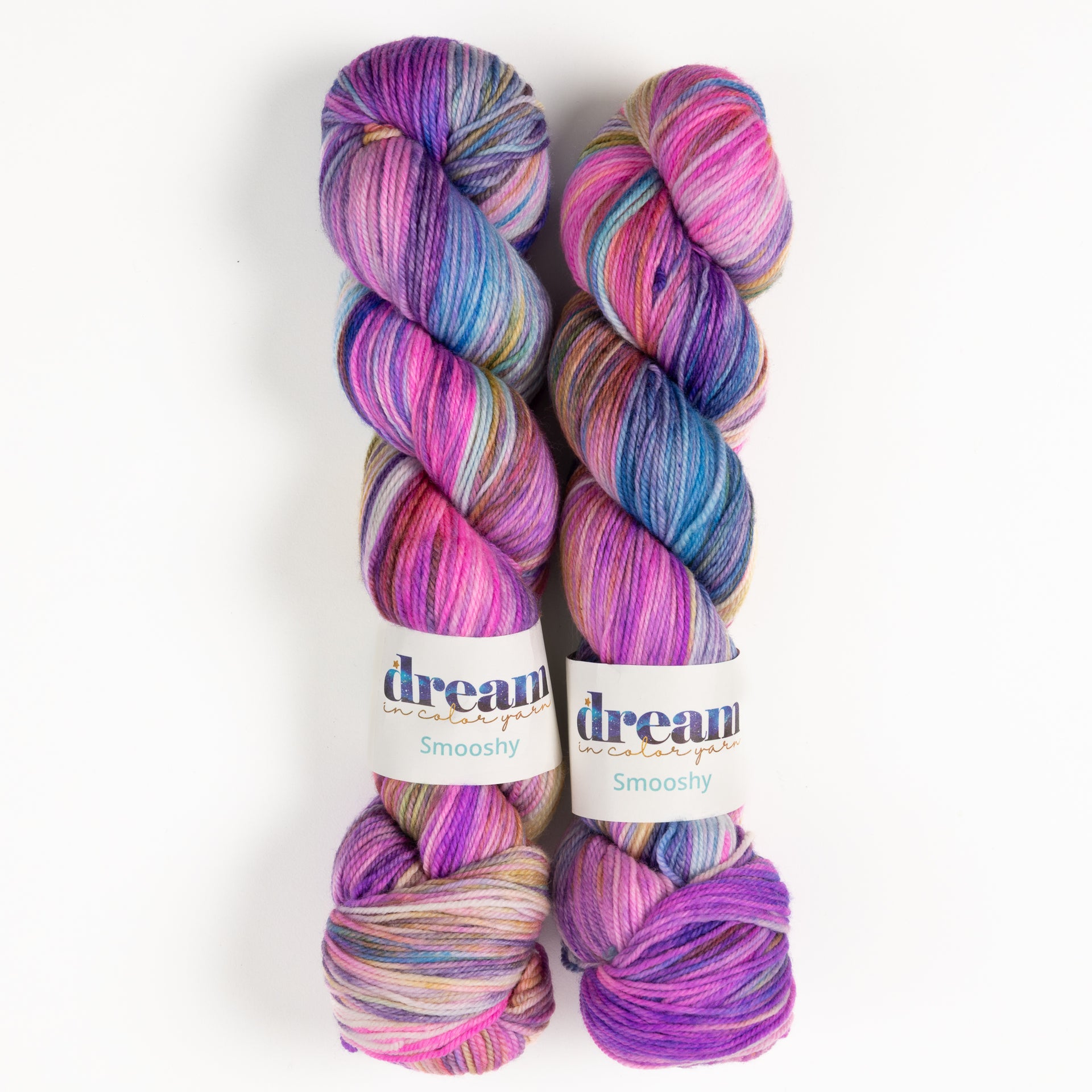 Dream in Color Smooshy Yarn - Garden Social
