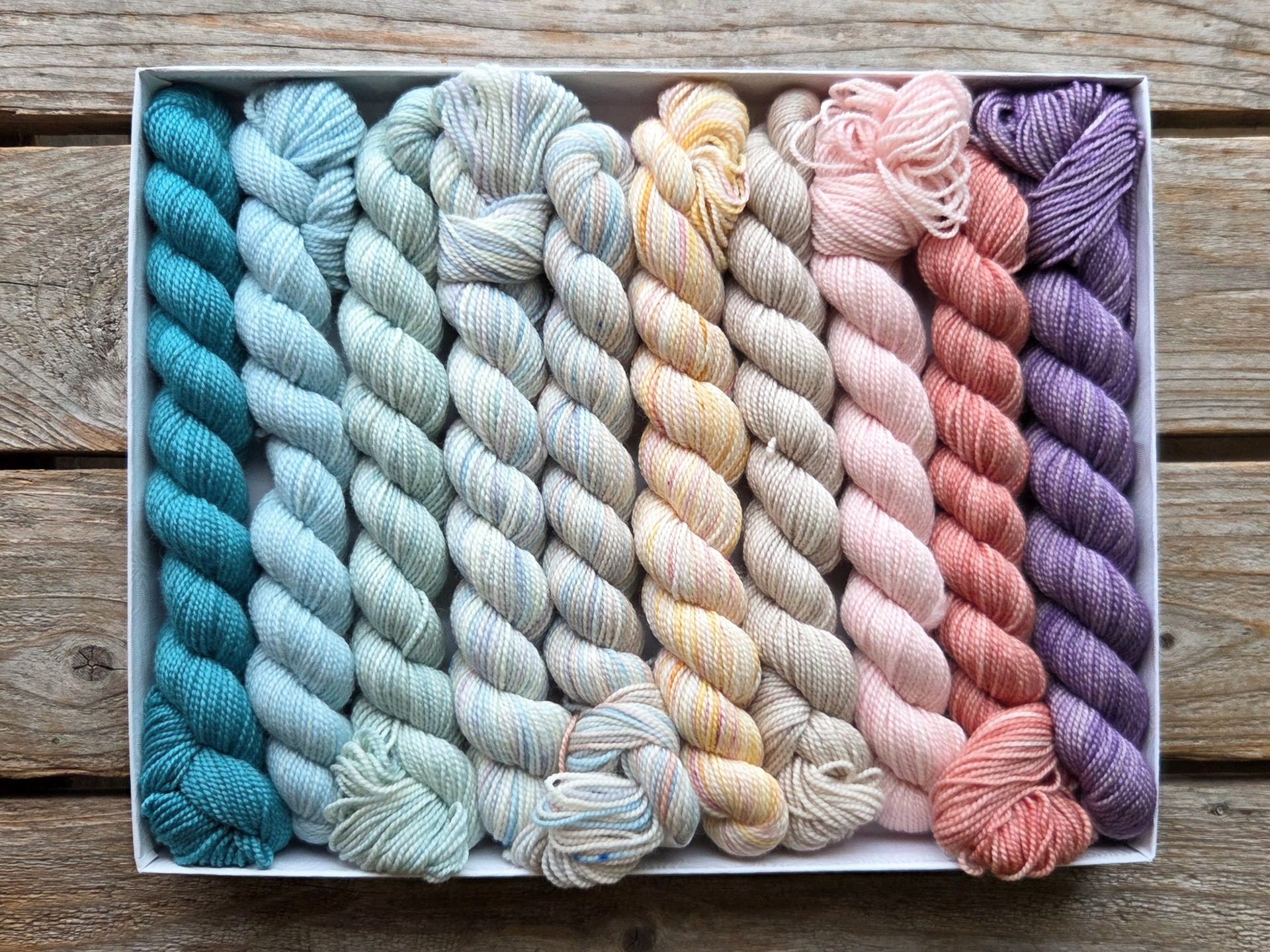 Koigu Pencil Box Yarn - Bridgerton Collection - Daphne - PREORDER
