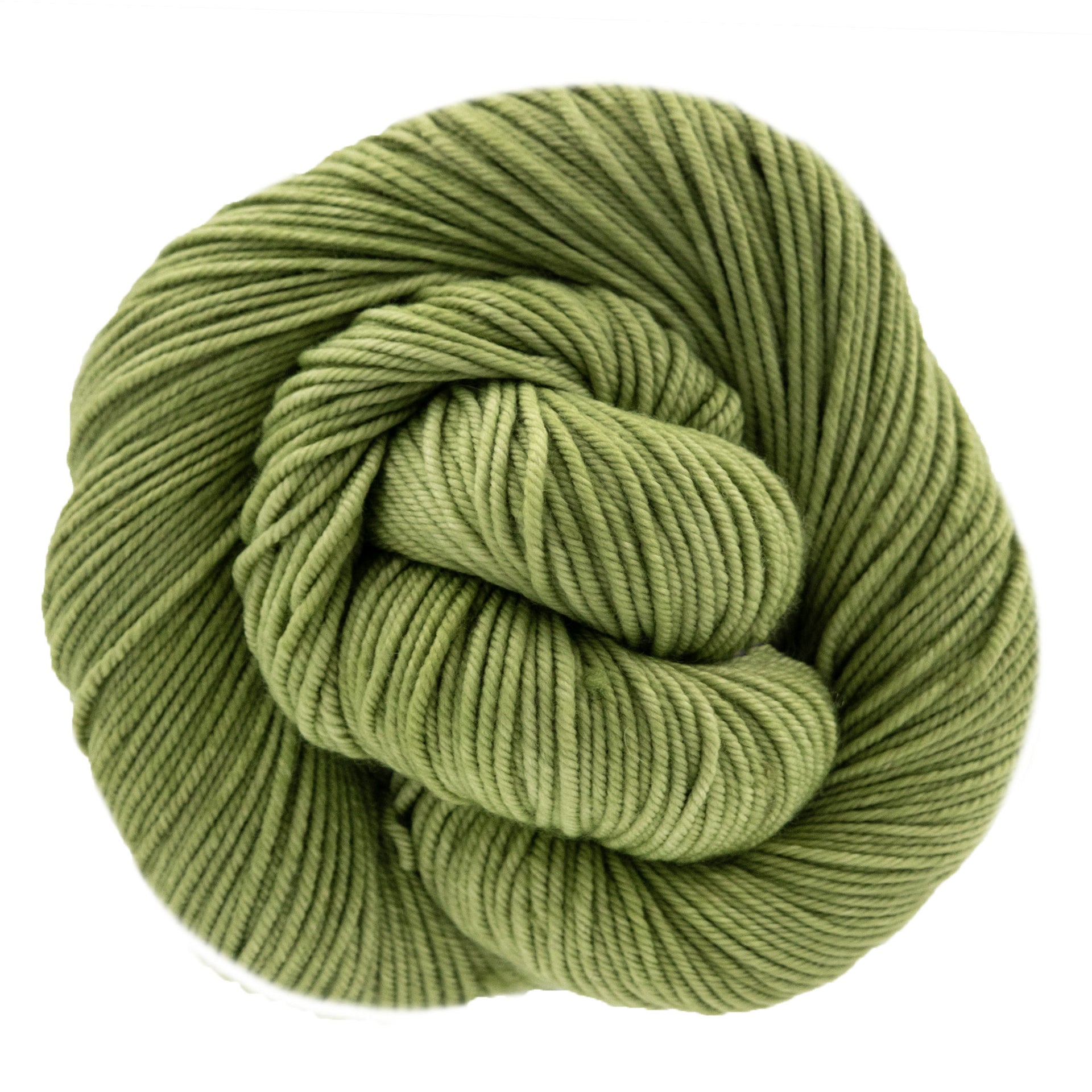 Dream in Color Classy Cashmere Yarn - Sprout 077
