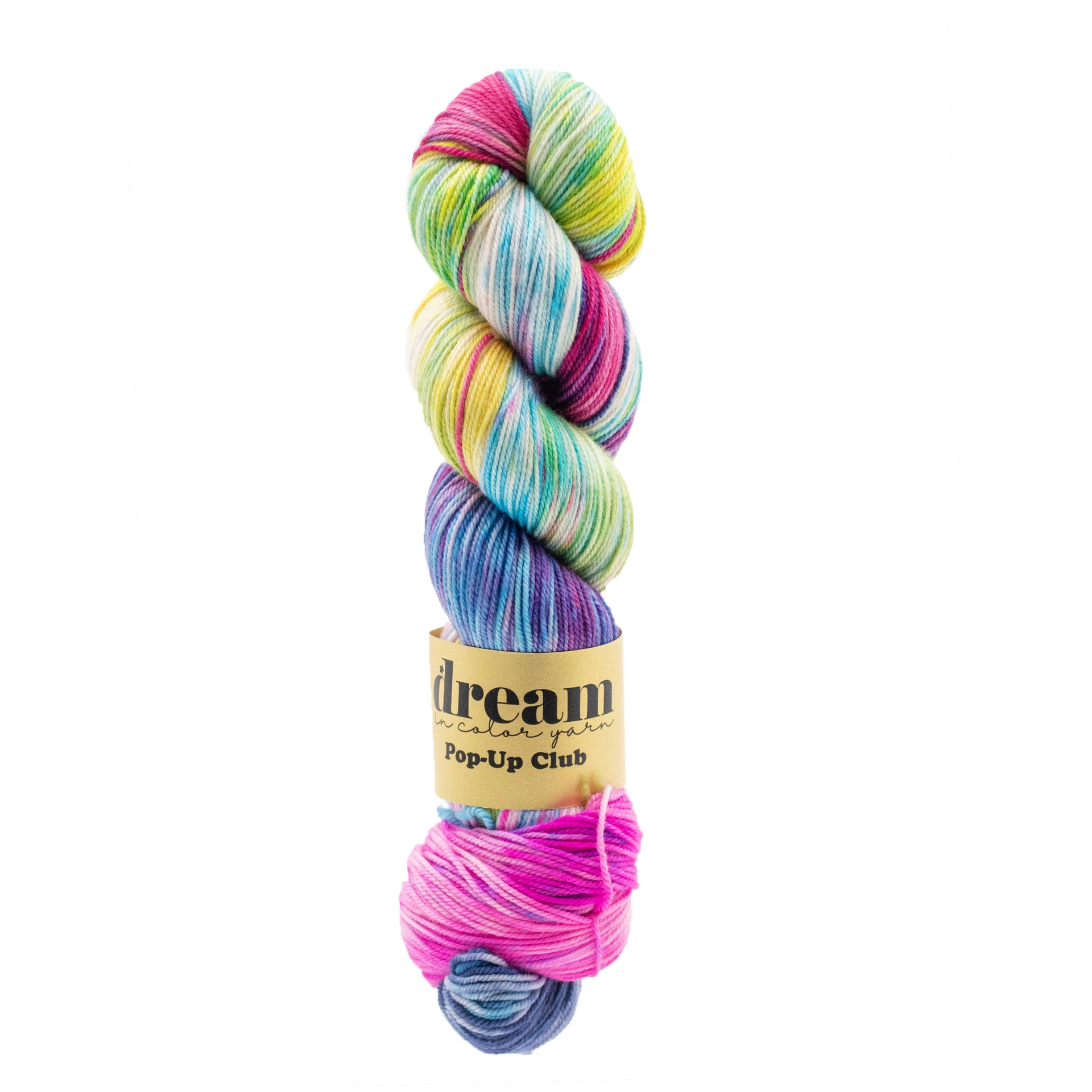 Dream in Color Smooshy Cashmere Yarn - Inflorescence
