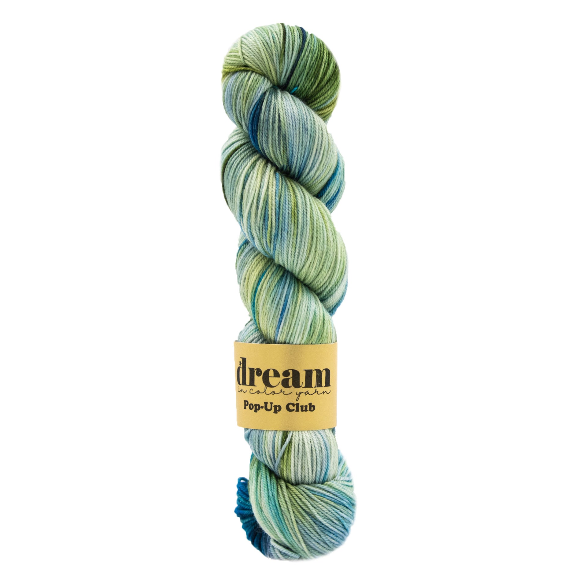 Dream in Color Smooshy Cashmere Yarn - FEN
