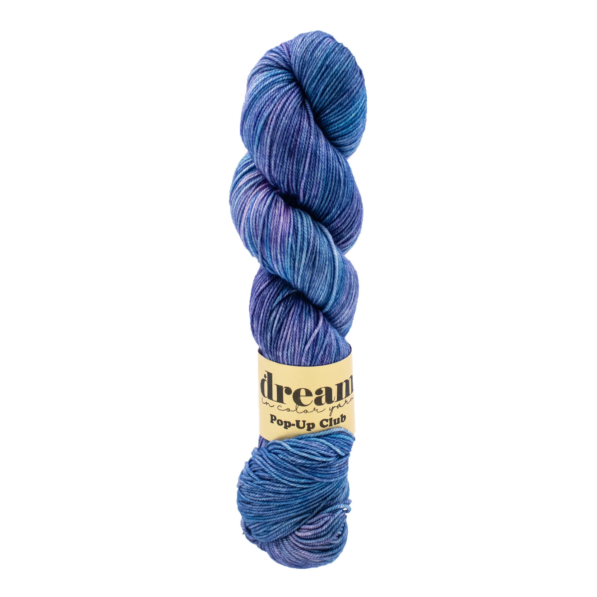 Dream in Color Smooshy Cashmere Yarn - Snowy Twilight
