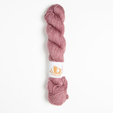 Dream in Color Field Collection: Suzette Yarn - Barberry