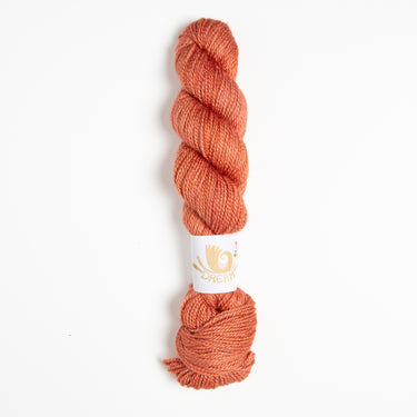 Dream in Color Field Collection: Suzette Yarn - Fox