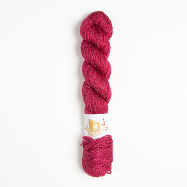 Dream in Color Field Collection: Suzette Yarn - Garnet