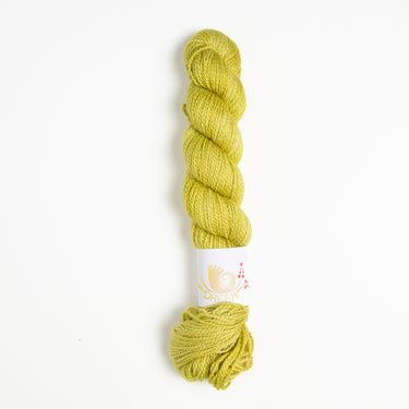 Dream in Color Field Collection: Suzette Yarn - Ginko