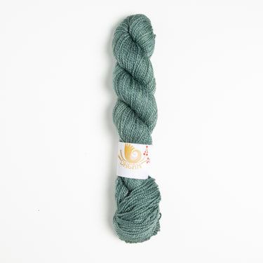 Dream in Color Field Collection: Suzette Yarn - Hosta