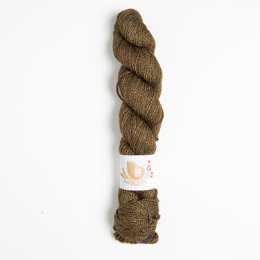 Dream in Color Field Collection: Suzette Yarn - Walnut