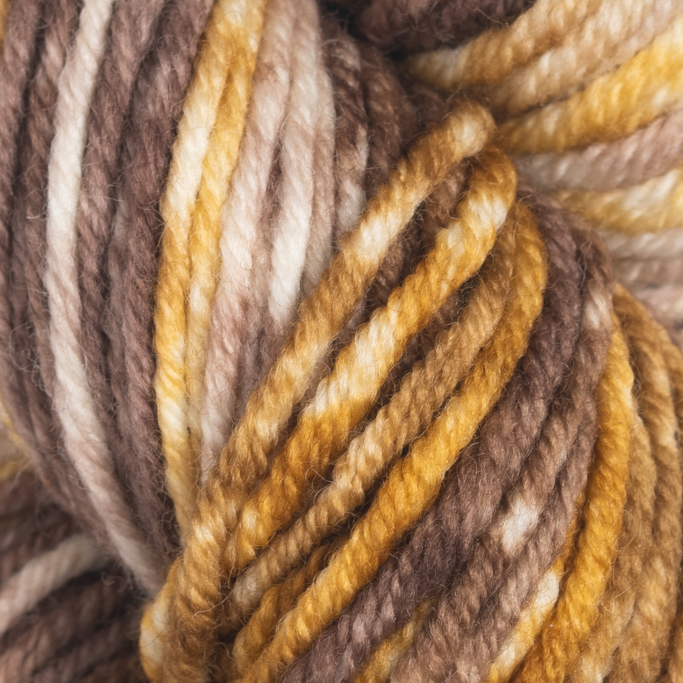 Gusto Wool Echoes Aran Yarn - 5513
