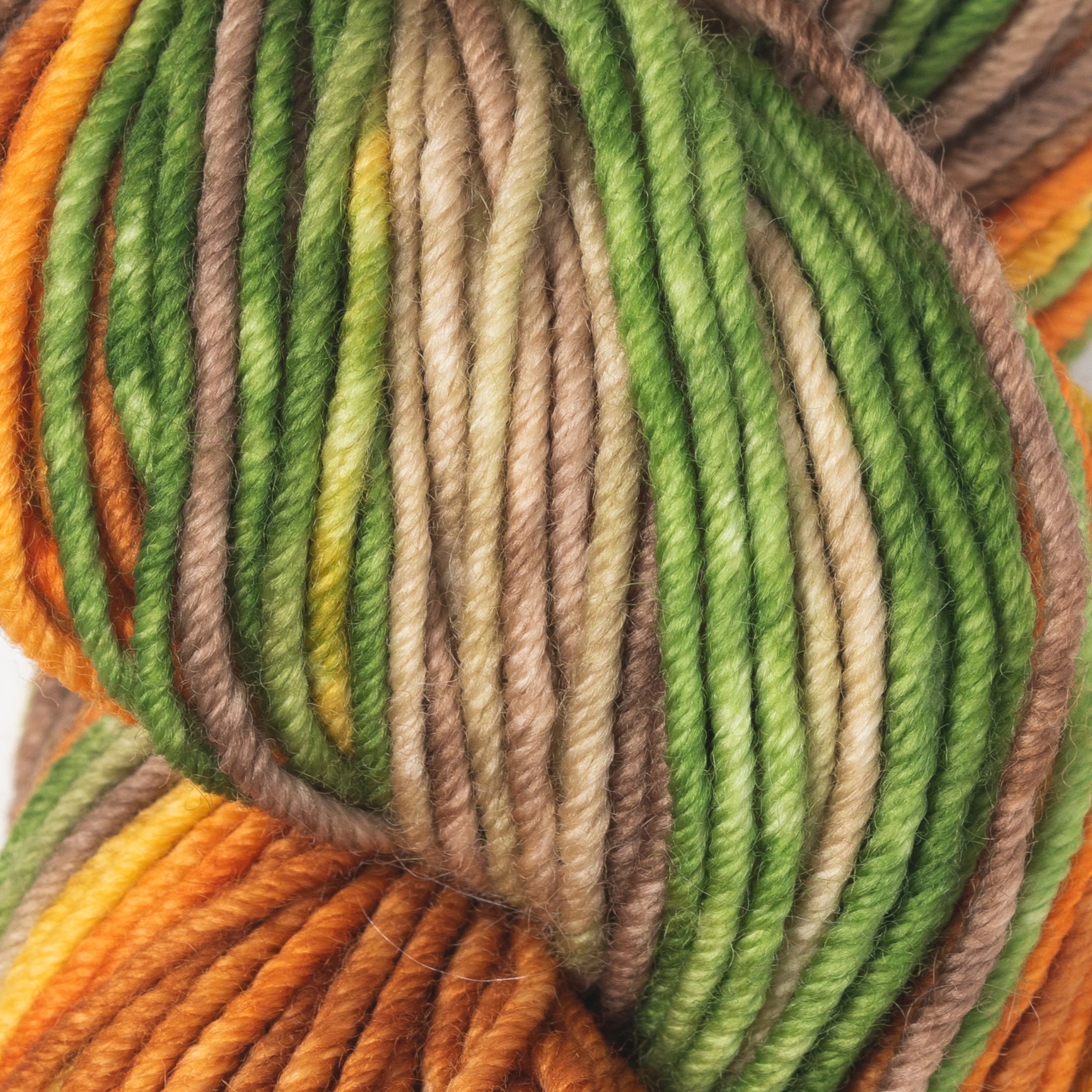 Gusto Wool Echoes Aran Yarn - 5517
