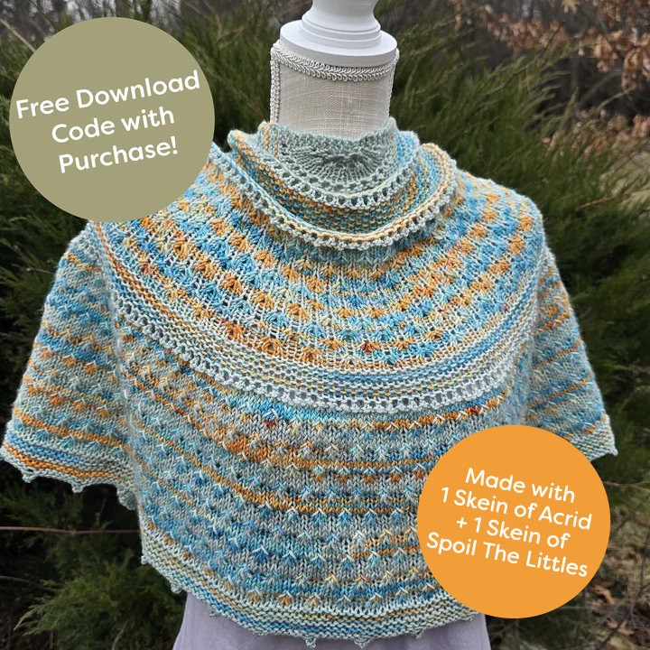 Dream In Color Garden Shawl Kit
