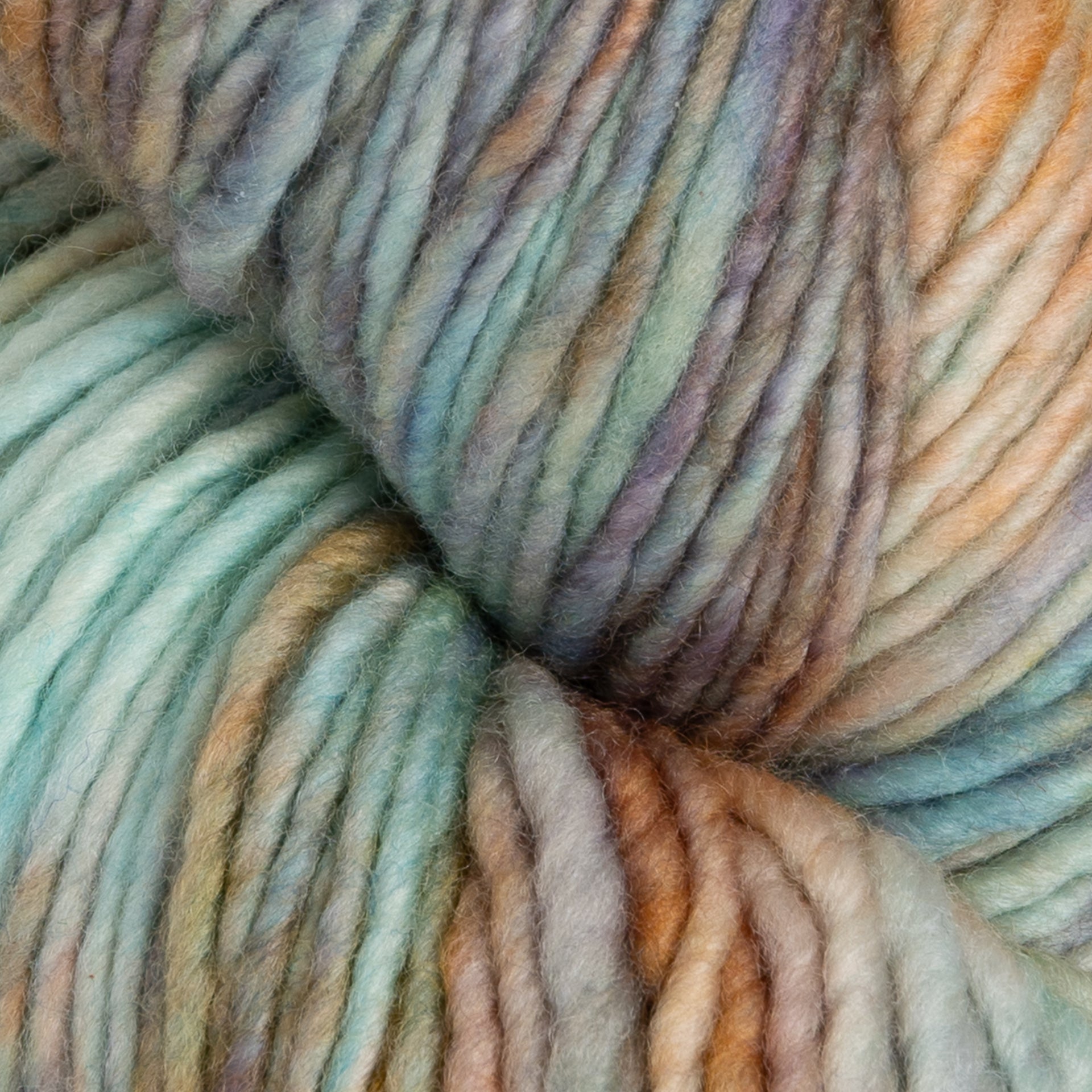 Malabrigo Worsted Merino Yarn - 274 Amphibian
