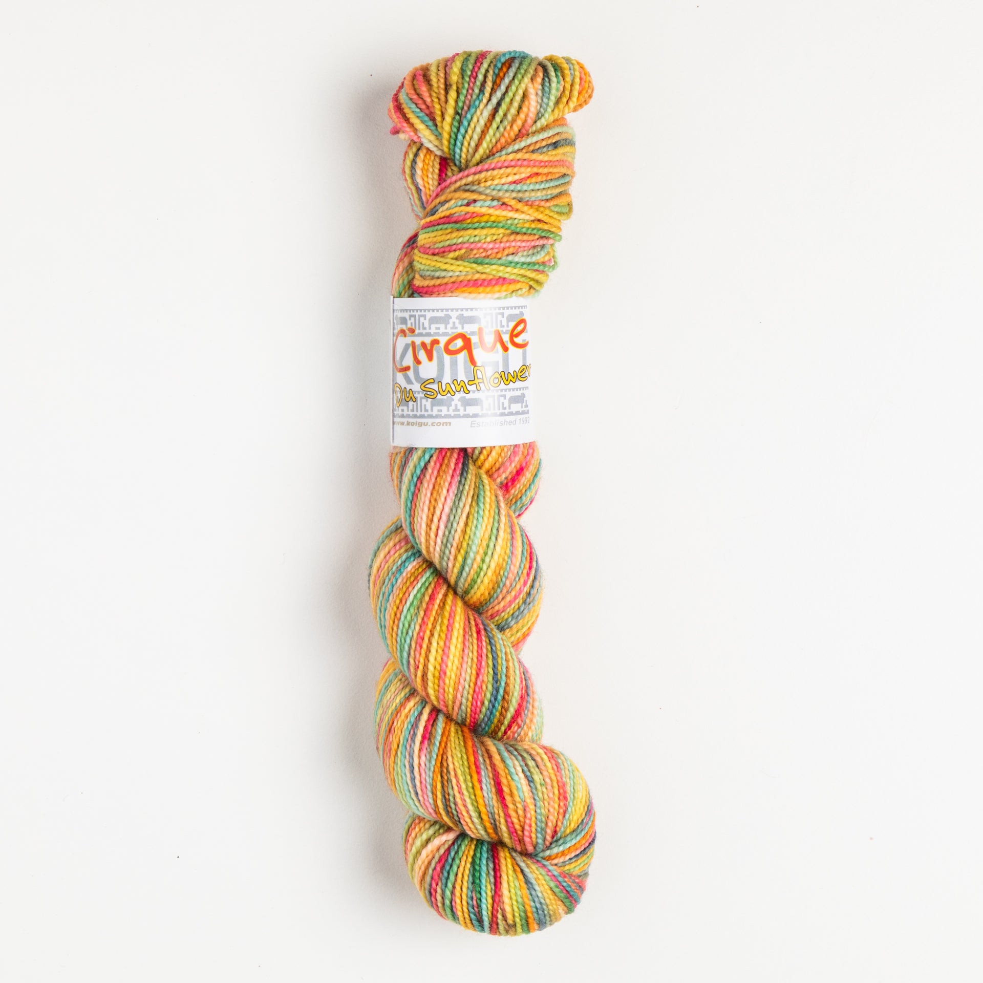 Koigu KPPPM Yarn - '25 September Collector - Cirque du Sunflower
