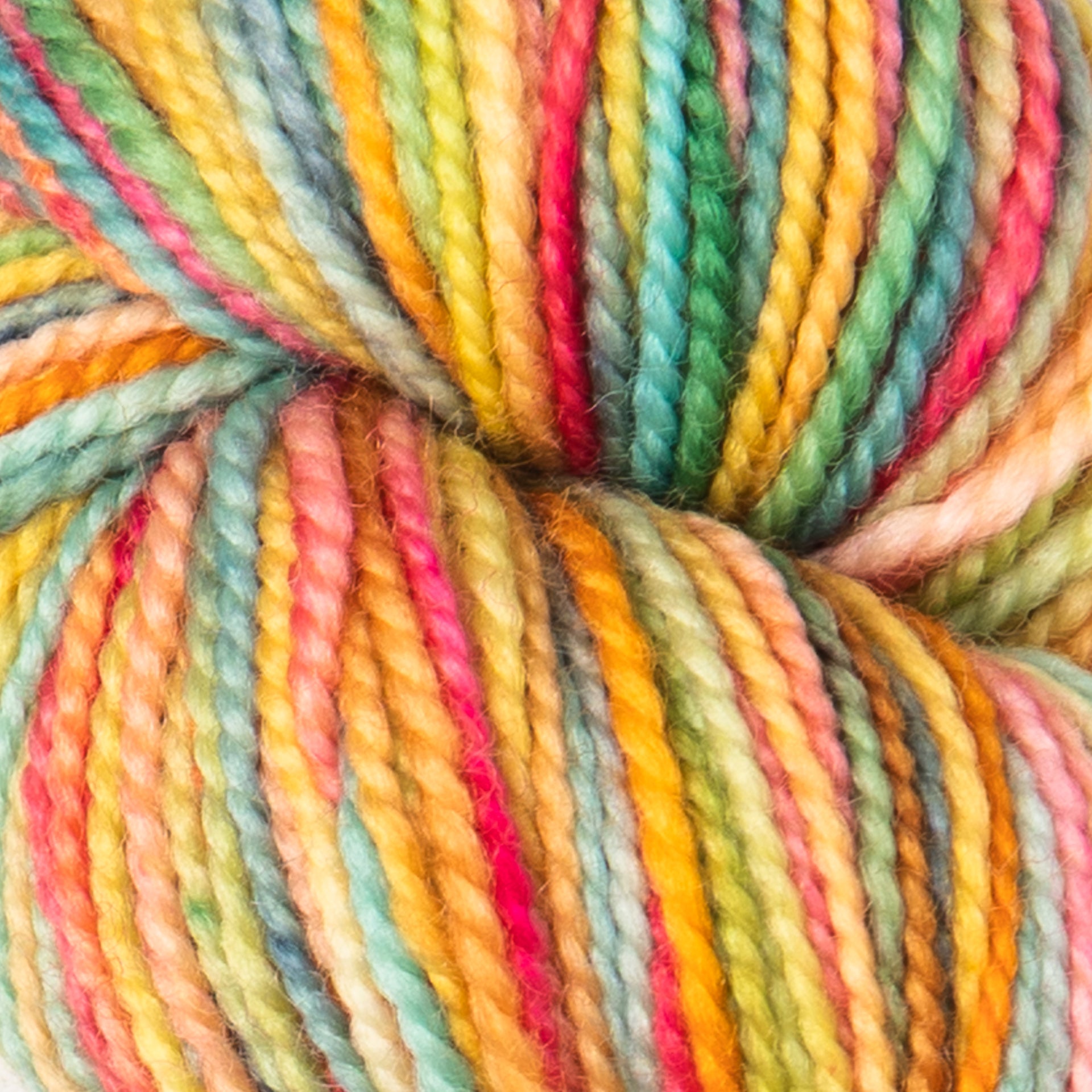 Koigu KPPPM Yarn - '25 September Collector - Cirque du Sunflower

