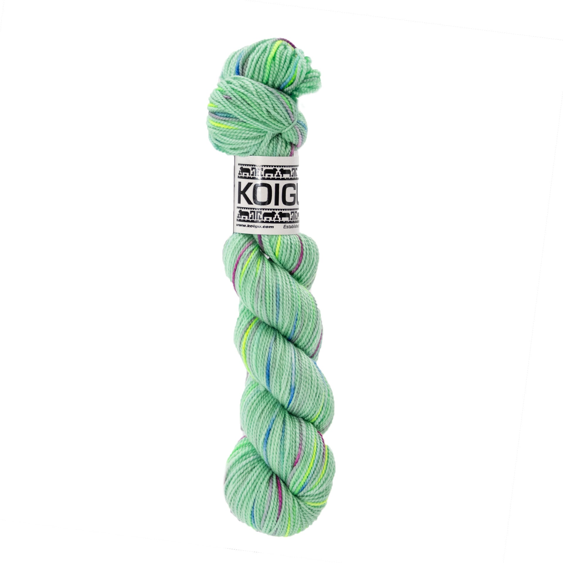 Koigu KPPPM Yarn - P096
