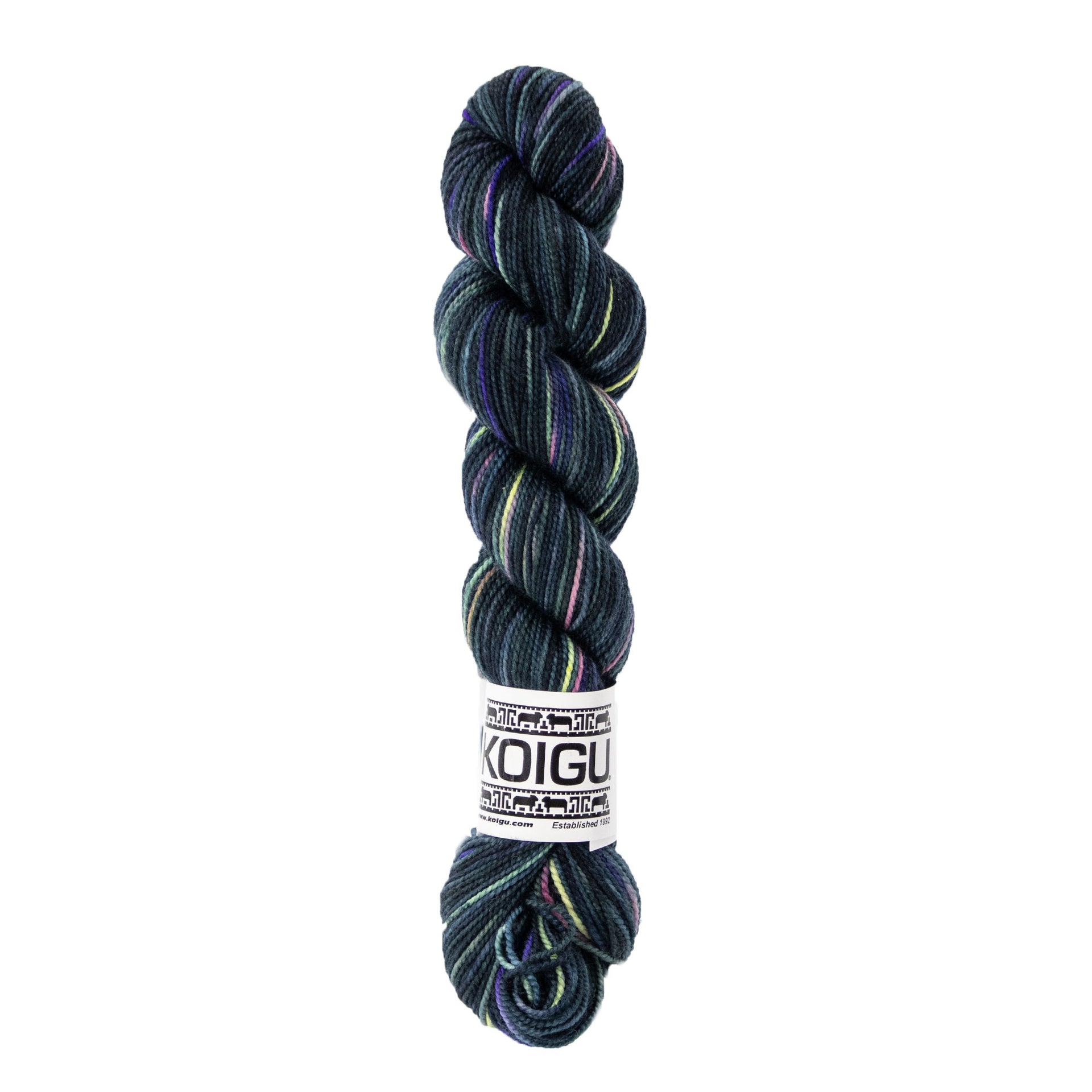 Koigu KPPPM Yarn - P063
