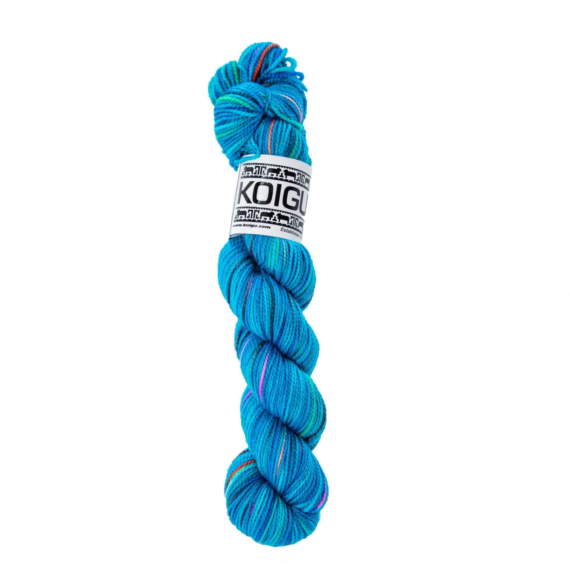 Koigu KPPPM Yarn - P081
