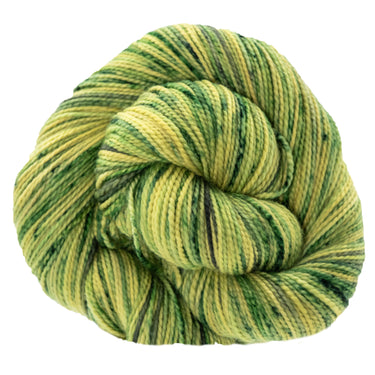 Koigu KPPPM Yarn - '25 March Collector - Terra Futura