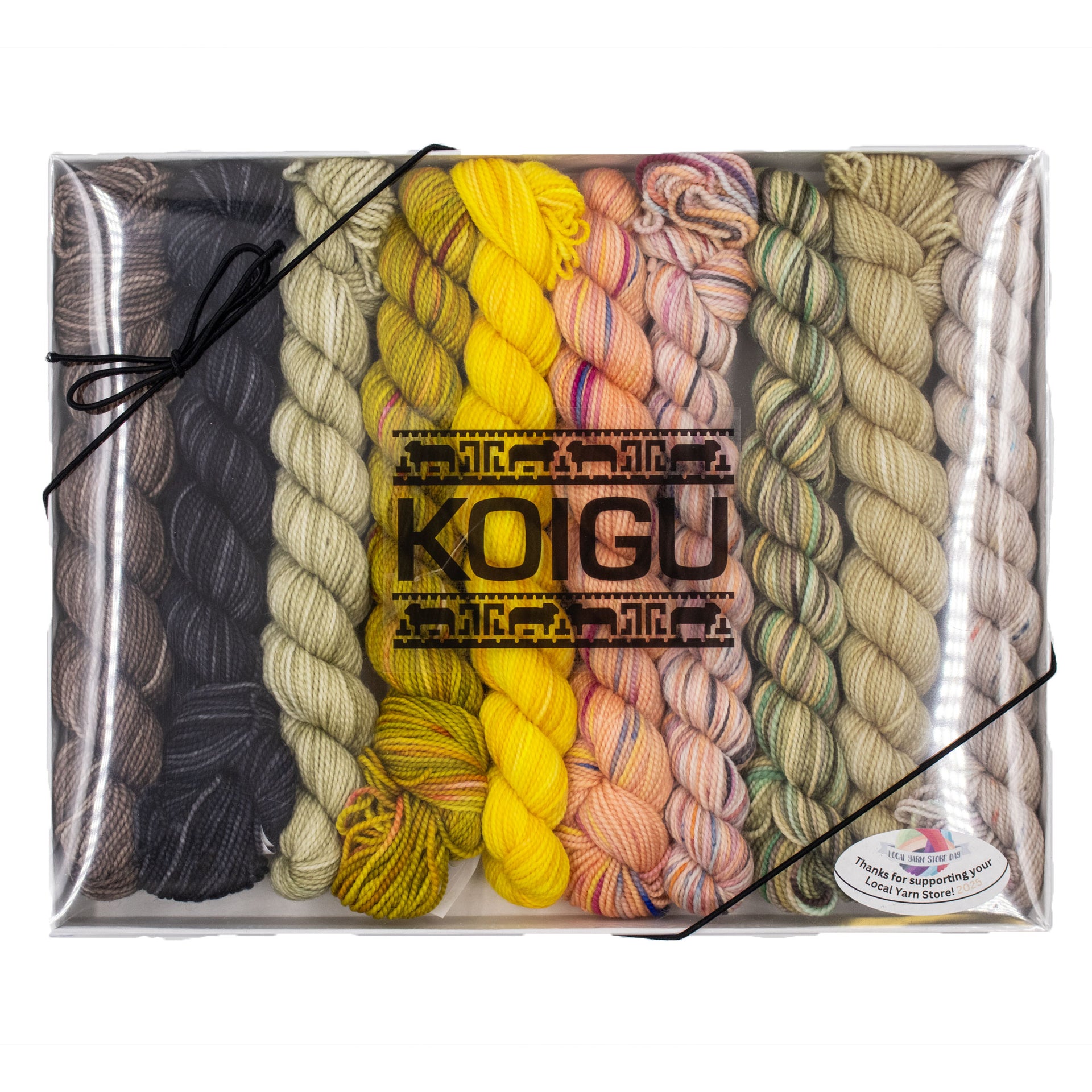 Koigu Pencil Box Yarn - Modernist
