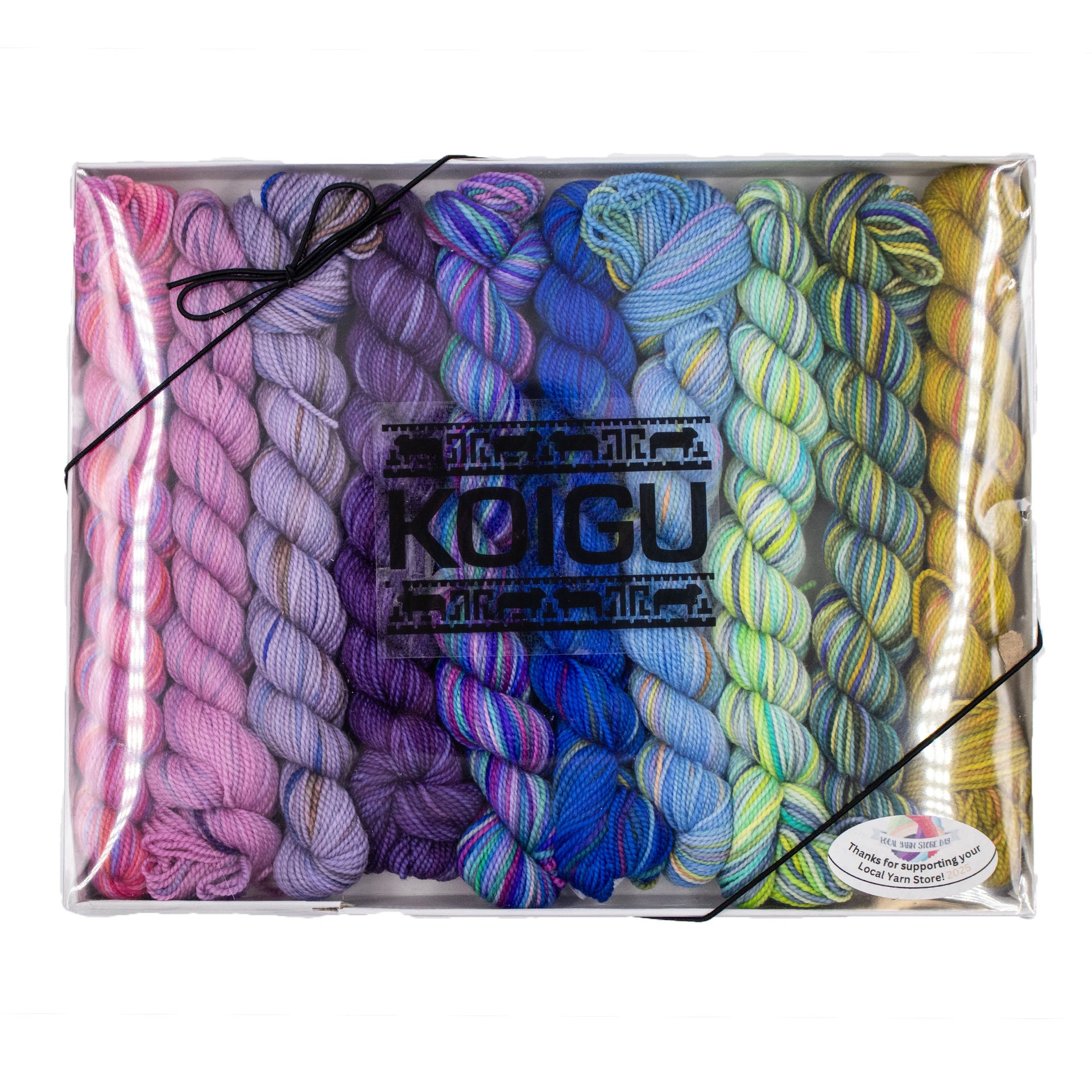 Koigu Pencil Box Yarn - Tiffany
