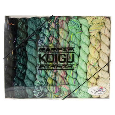 Koigu Pencil Box Yarn - Venation Shawl - Mojito
