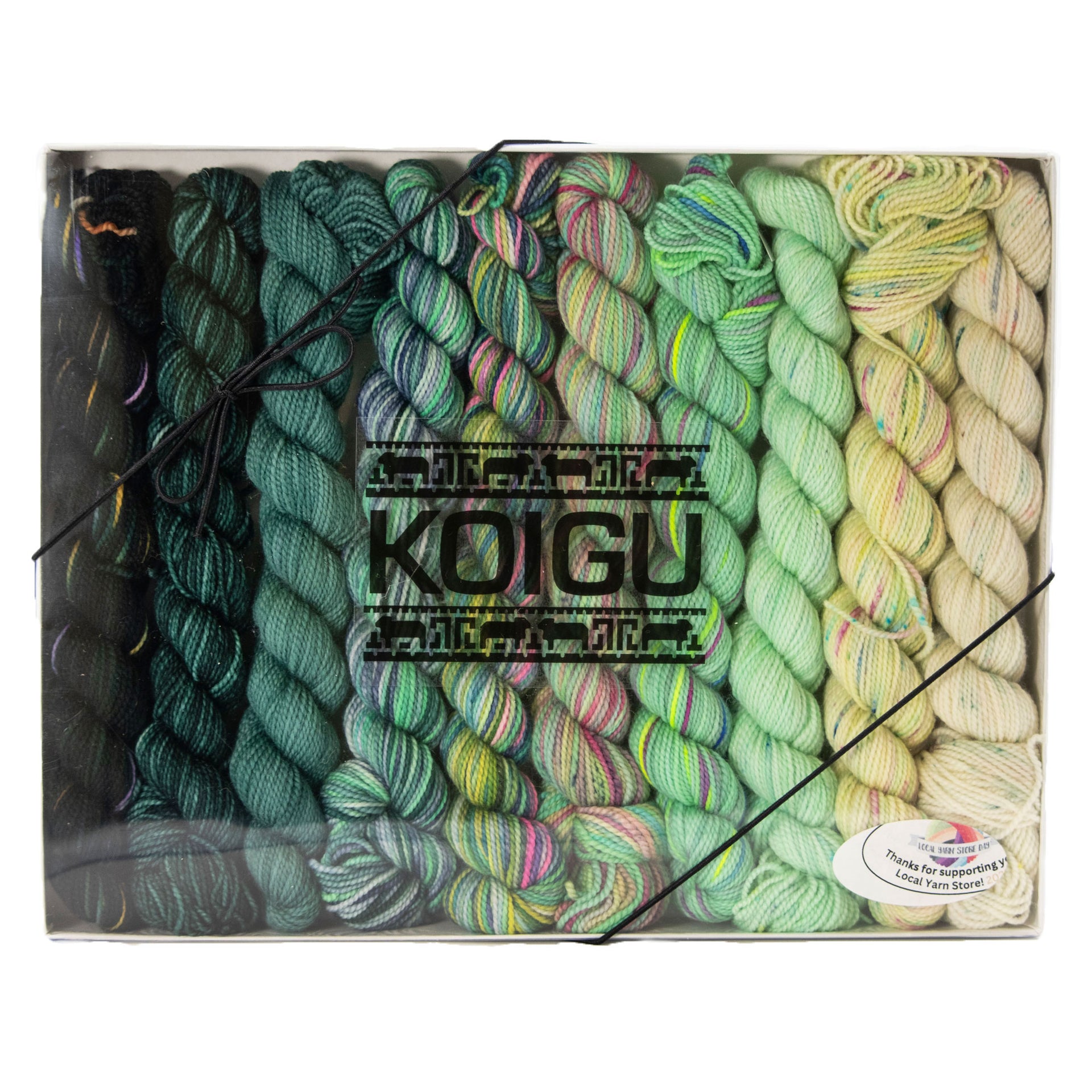 Koigu Pencil Box Yarn - Venation Shawl - Mojito
