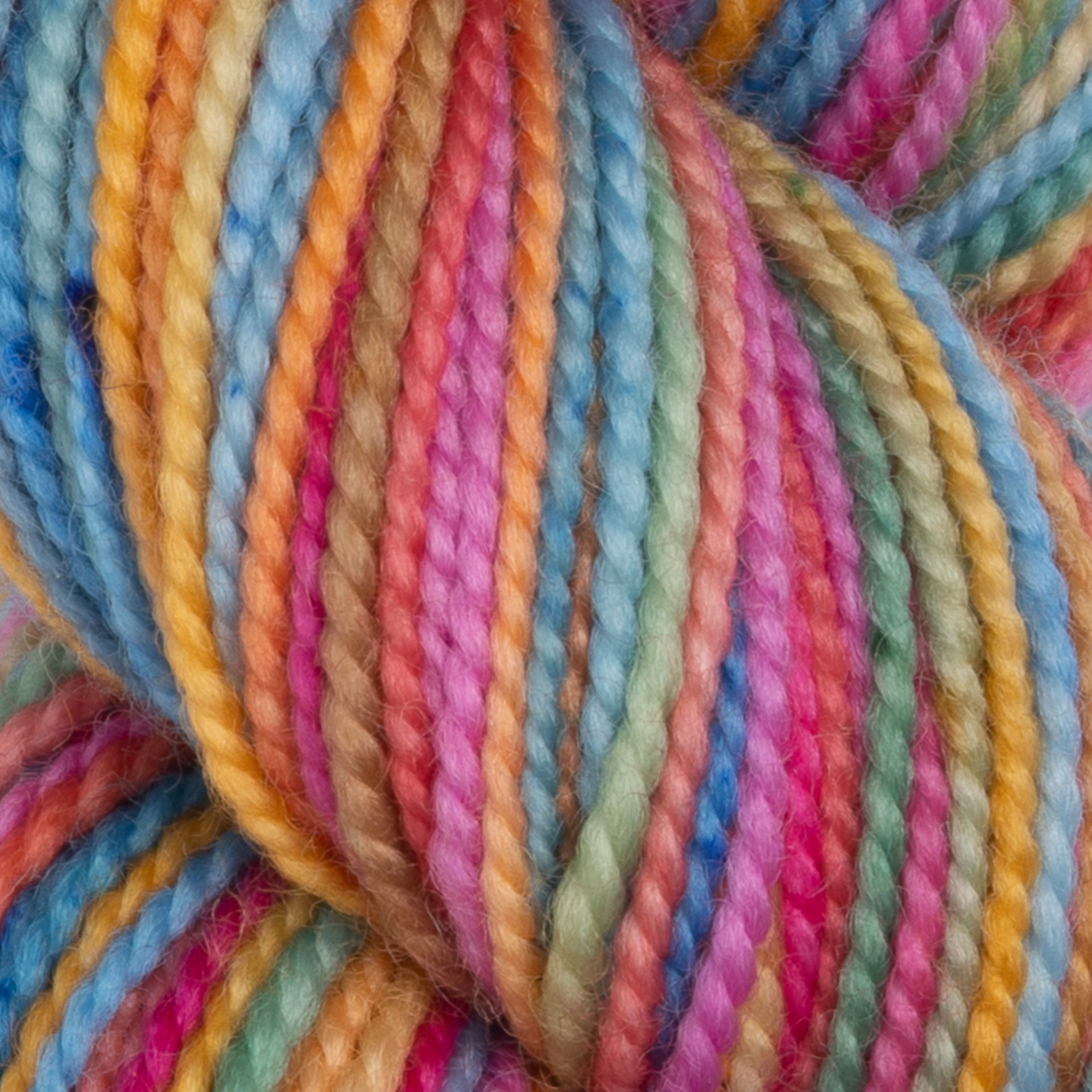 Koigu KPPPM Yarn - '25 August Collector - Cosmo Campground
