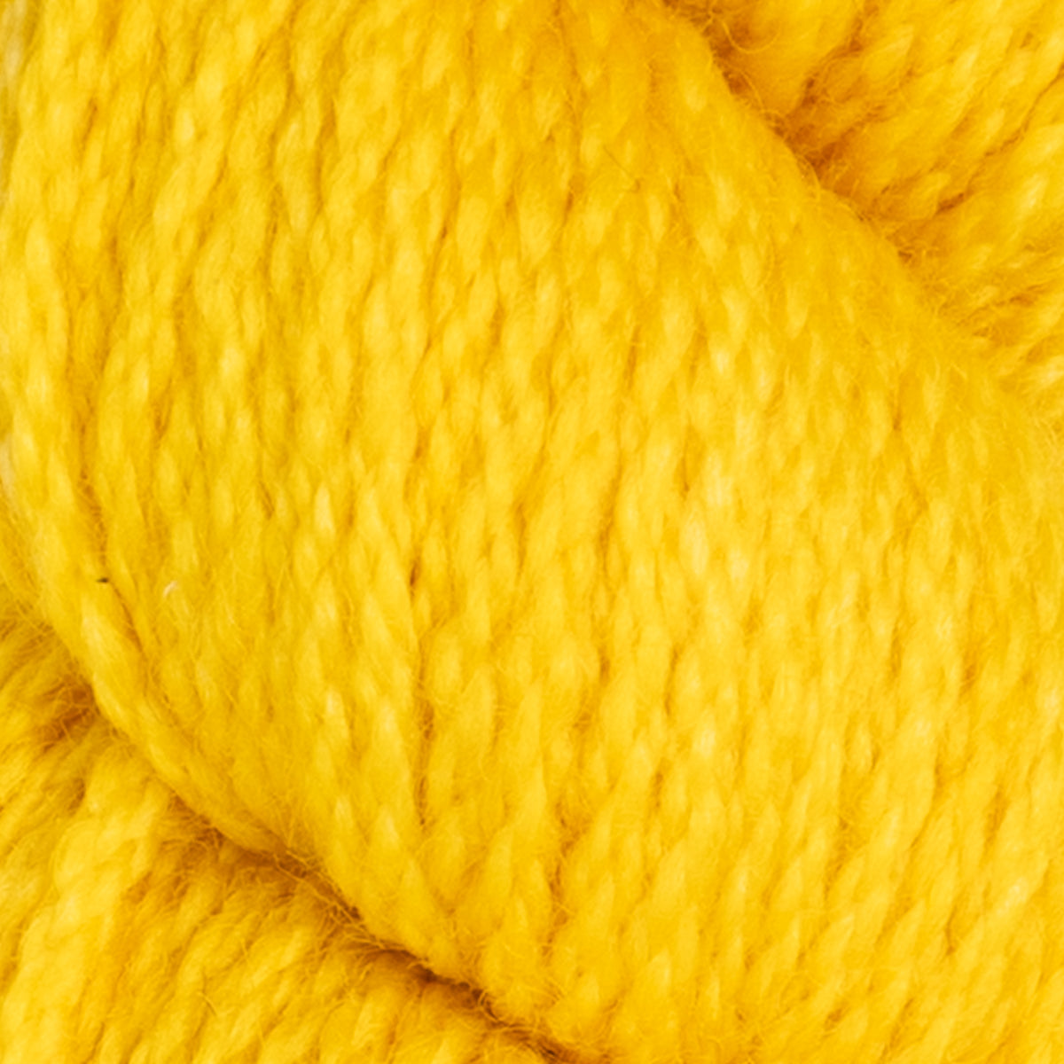 Koigu Kersti Yarn - K2180
