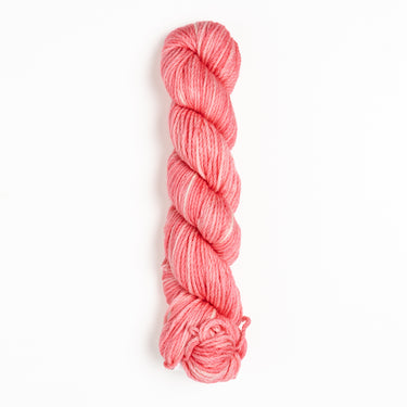 Koigu Kersti Yarn - K1102