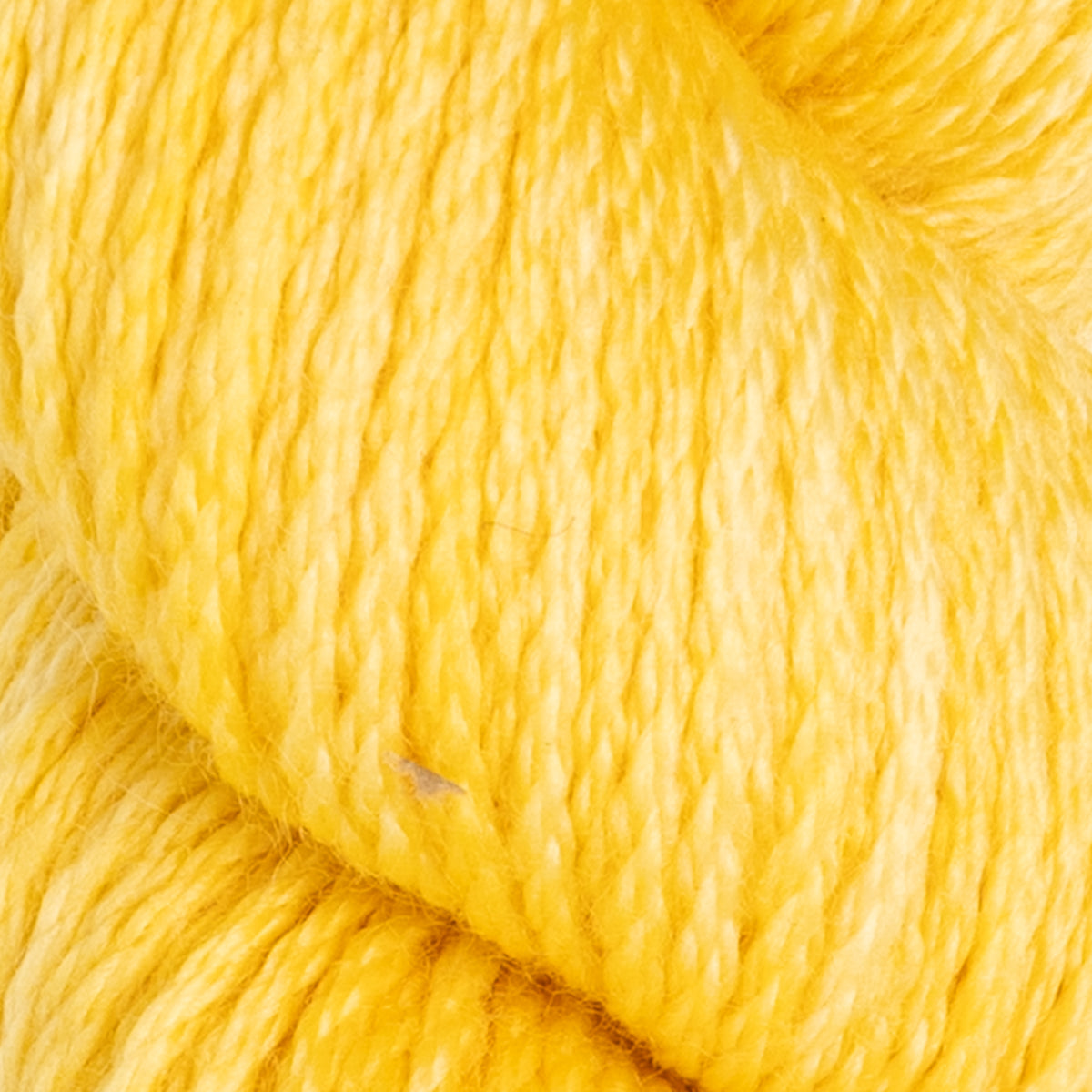 Koigu Kersti Yarn - K5212
