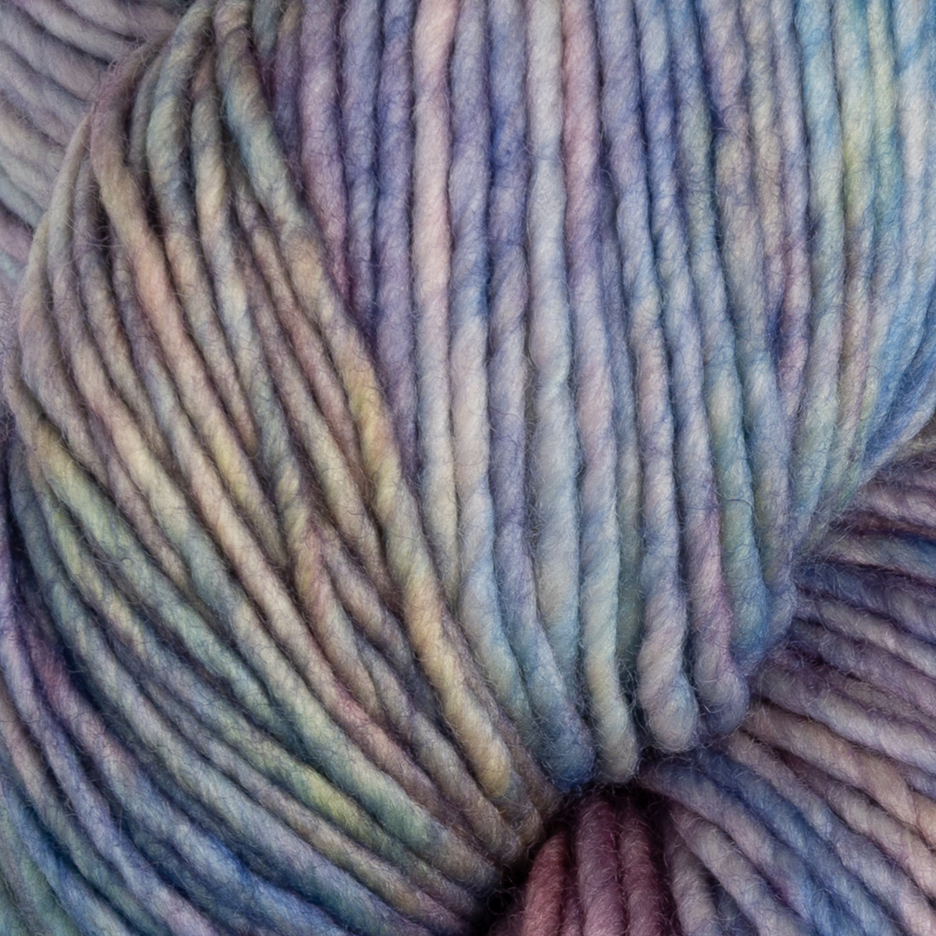 Malabrigo Worsted Merino Yarn - 875 Arapey
