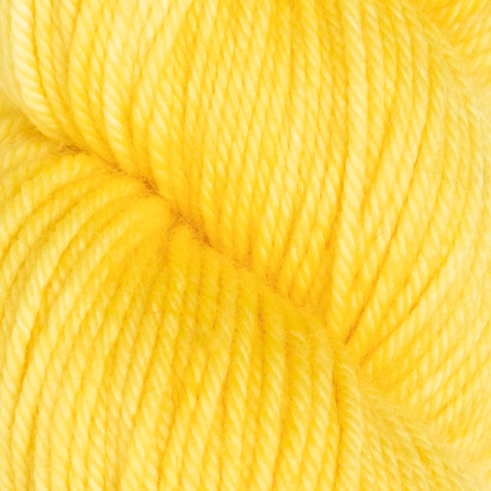 Madelinetosh 2025 Yarnsgiving Kit - Butter
