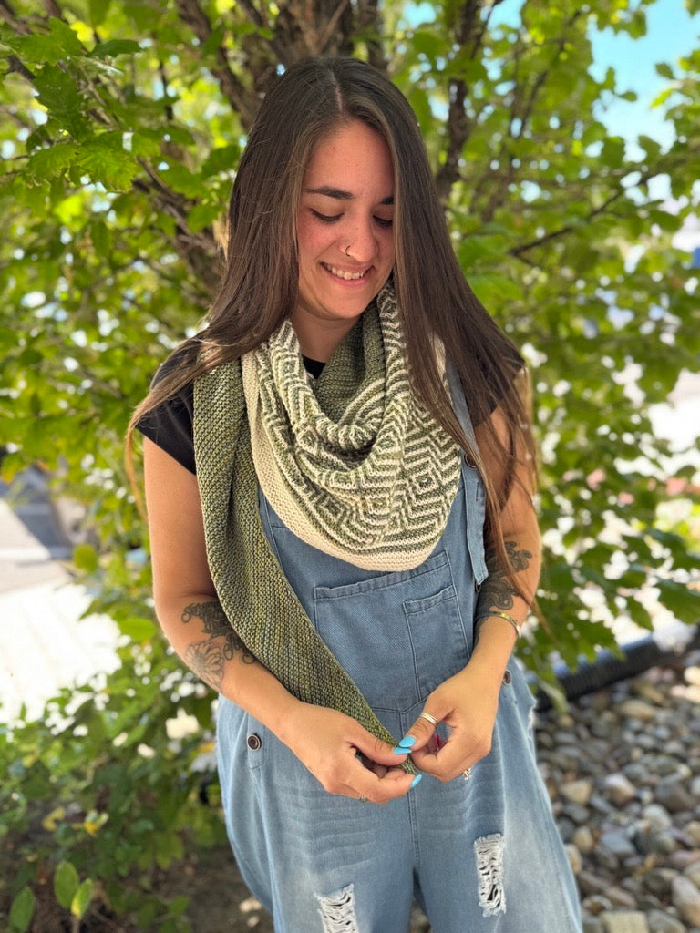Malabrigo's Barnstable Kit & Virtual Knit Class with Sandy
