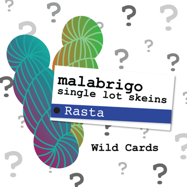 Malabrigo Rasta Yarn - *OOAK Wild Card
