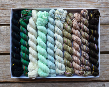 Koigu Pencil Box Yarn - Snowy Pines