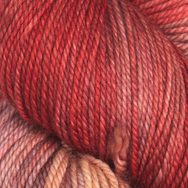 Dream In Color Smooshy Cashmere Yarn - Ruby Dusk