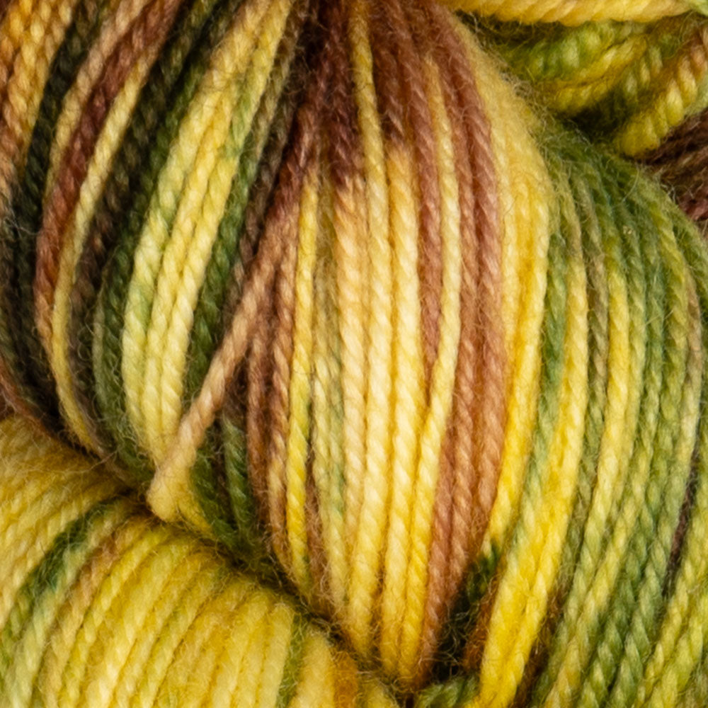 Madelinetosh Twist Light Yarn - Debate Club
