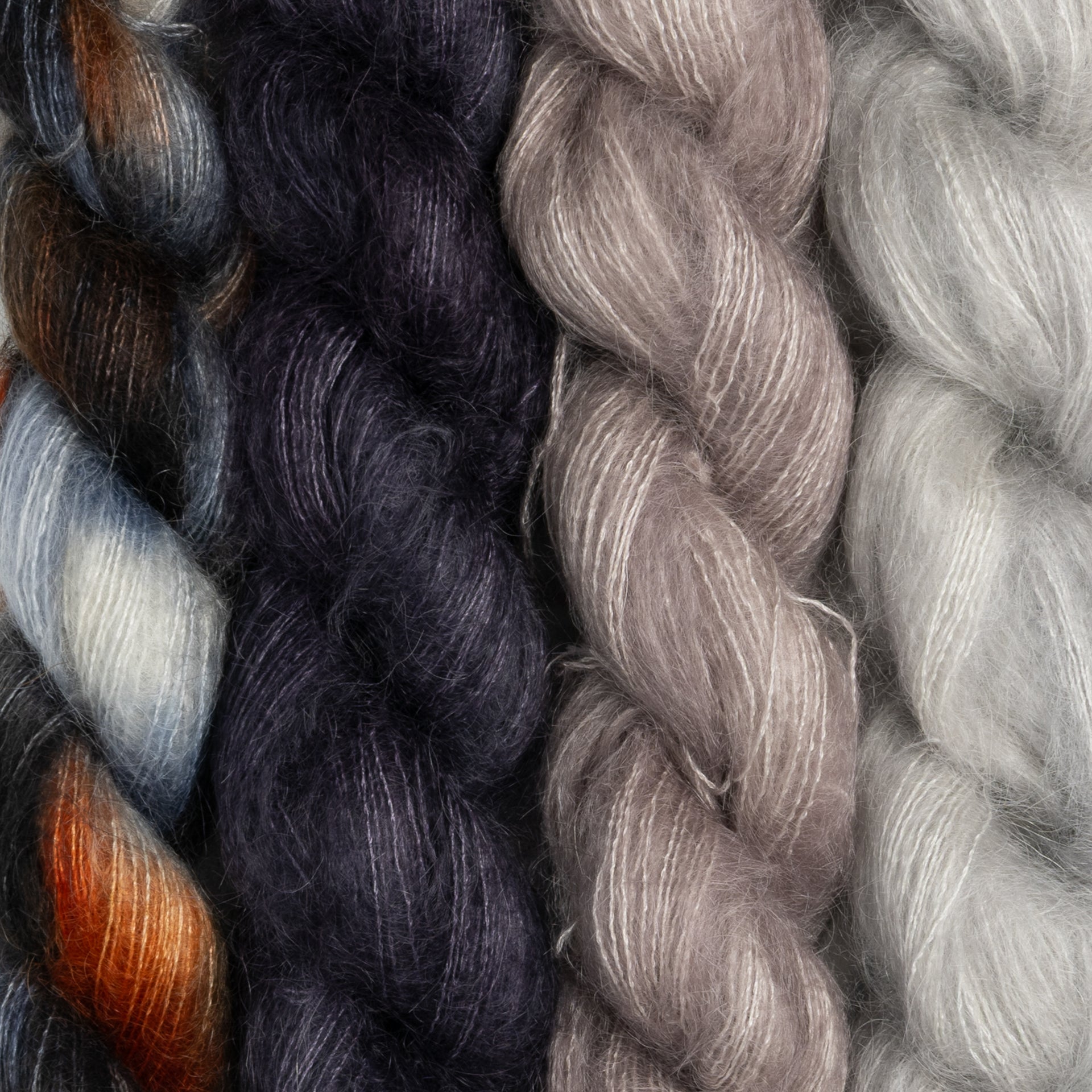 Dream in Color Field Collection: Billy Meadow Dreams Bundles - Pressed Petals
