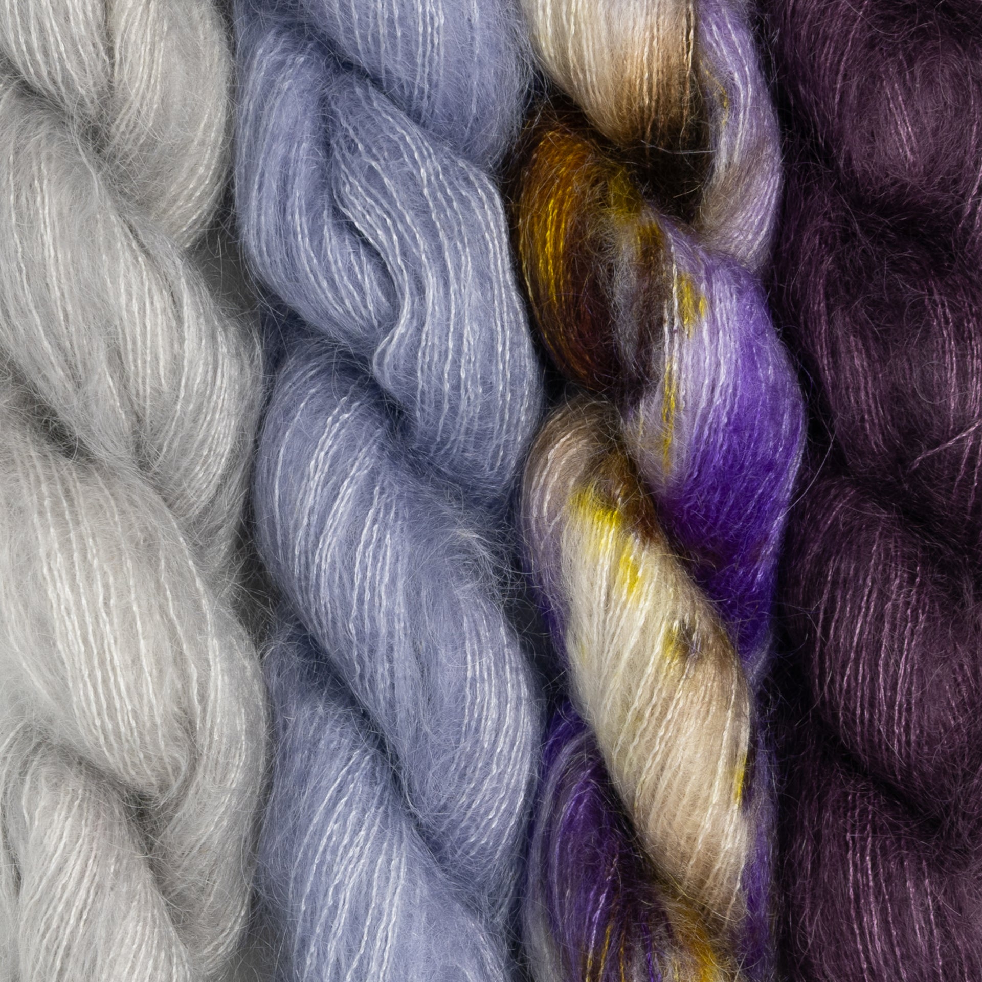 Dream in Color Field Collection: Billy Meadow Dreams Bundles - Hellebore
