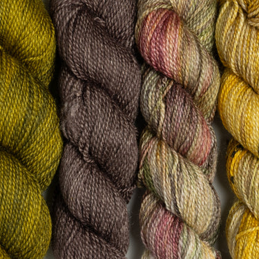 Dream in Color Field Collection: Suzette Meadow Dreams Bundles - Antique Marigold