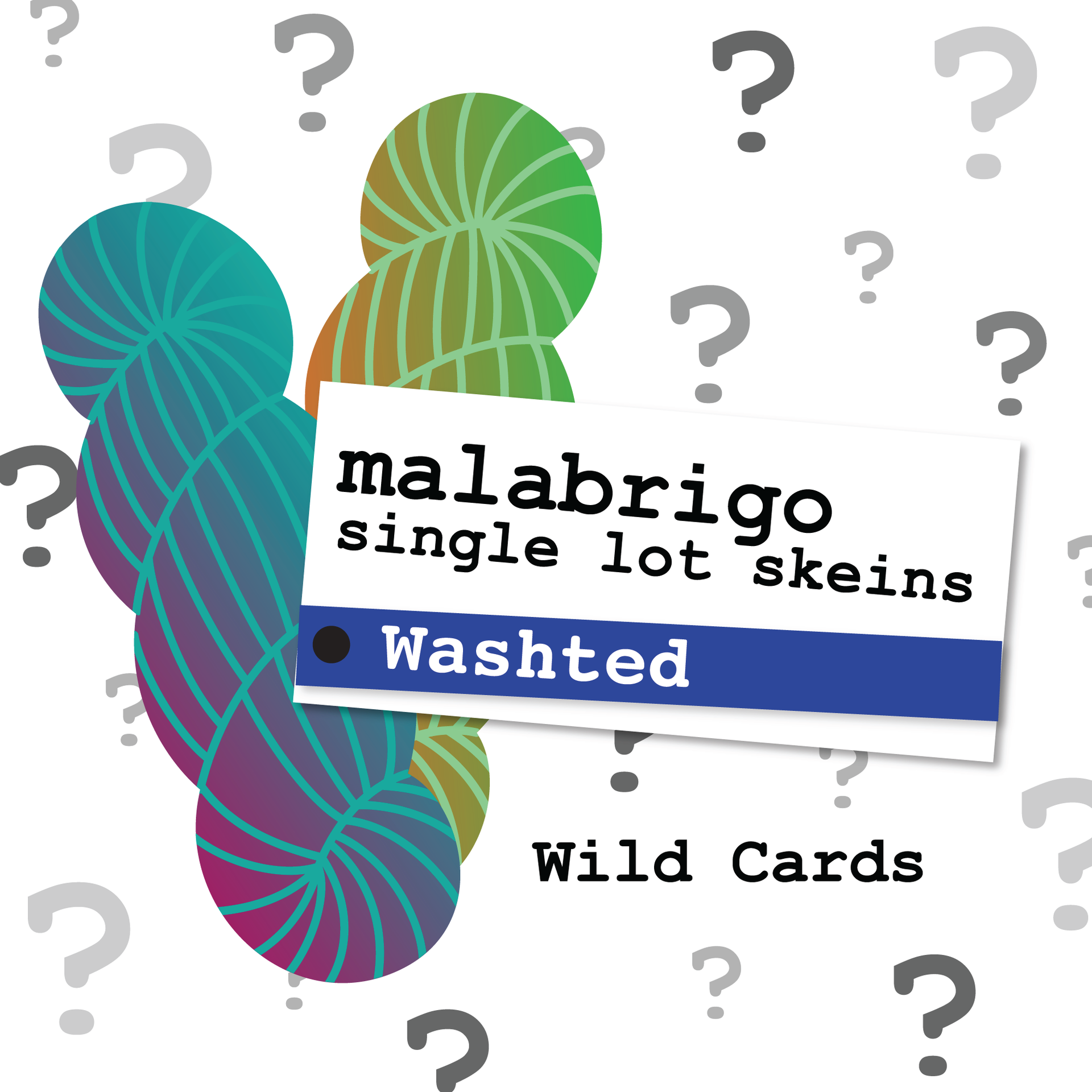 Malabrigo Washted Yarn - *OOAK Wild Card
