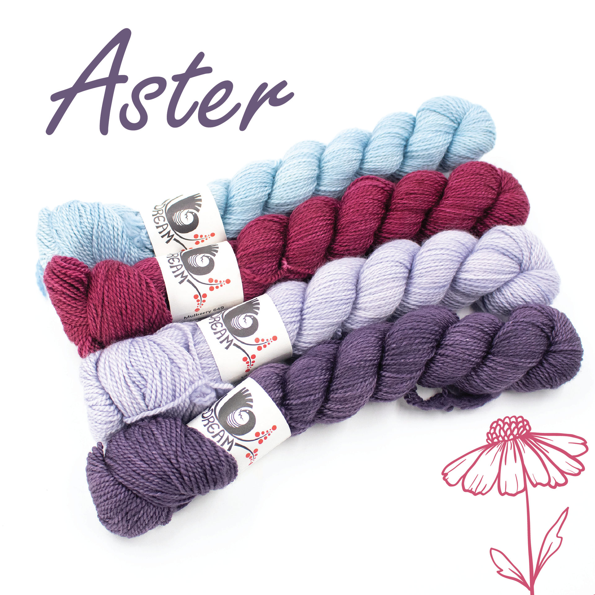 Dream in Color Field Collection: Lamb & Goat Meadow Blooms Bundles - Aster
